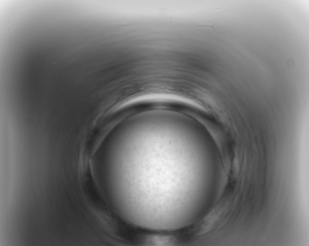 X0000089460168200706221311