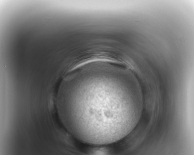 X0000089460169200706221311