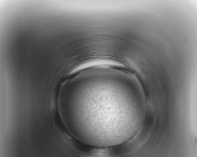 X0000089460170200706221311