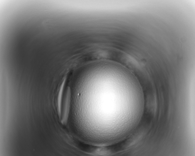 X0000089460173200706221311