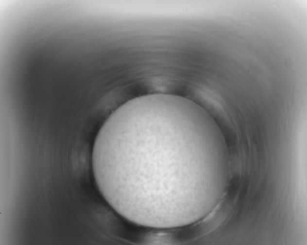X0000089460174200706221311
