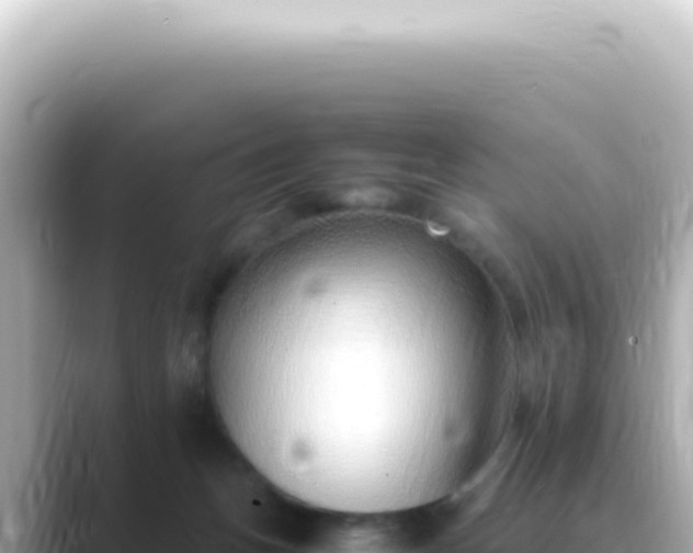 X0000089460175200706221311