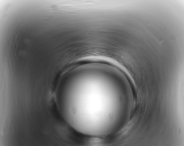 X0000089460176200706221311