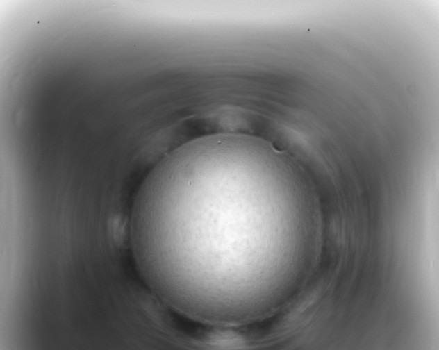 X0000089460177200706221311