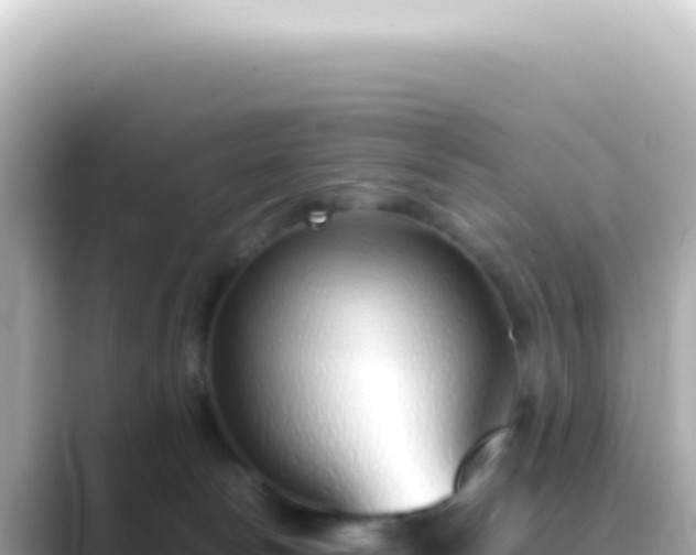 X0000089460178200706221311