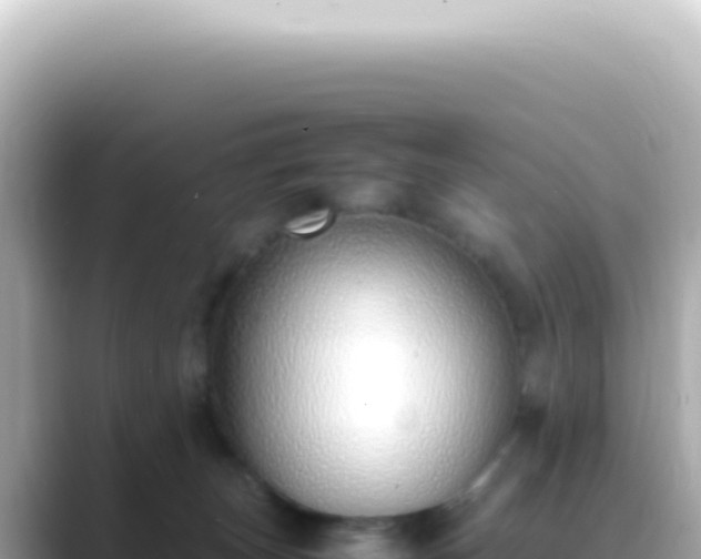 X0000089460179200706221311