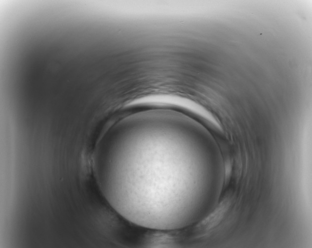 X0000089460180200706221311