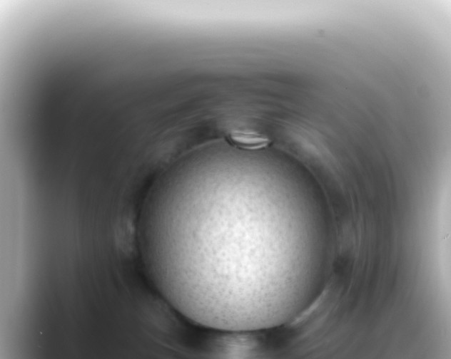 X0000089460183200706221312