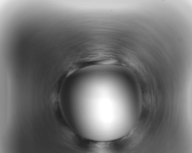 X0000089460184200706221312