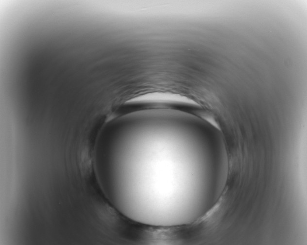 X0000089460186200706221312