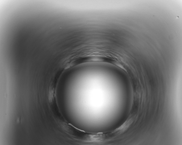 X0000089460188200706221312