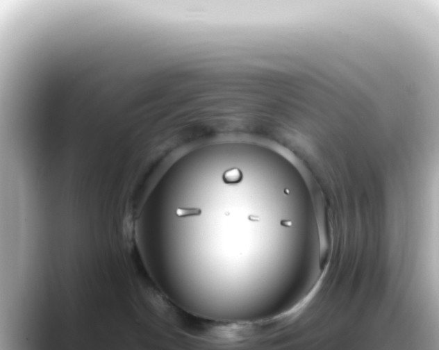 X0000089460190200706221312