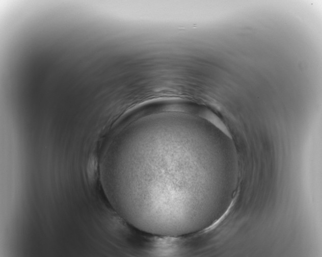 X0000089460192200706221312