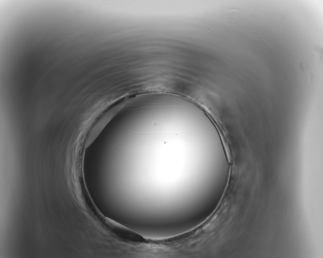 X0000089460193200706221311
