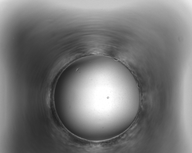 X0000089460194200706221311