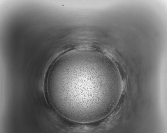 X0000089460195200706221311