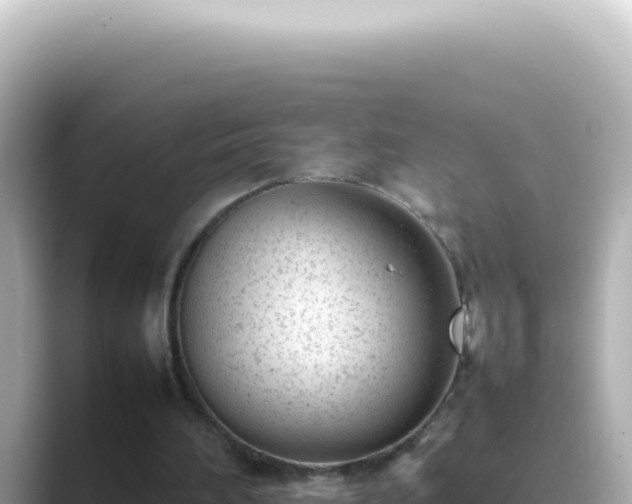 X0000089460196200706221311