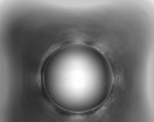 X0000089460198200706221311
