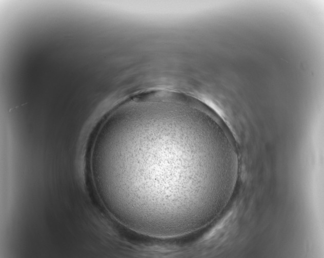 X0000089460199200706221311