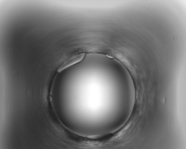X0000089460201200706221311