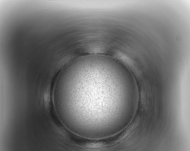 X0000089460202200706221311