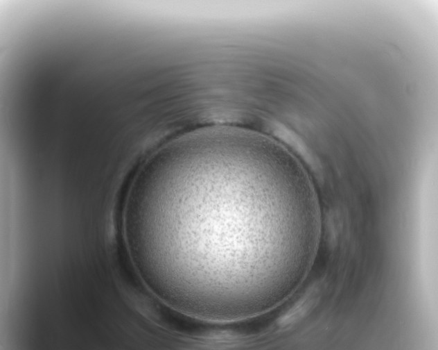 X0000089460203200706221311