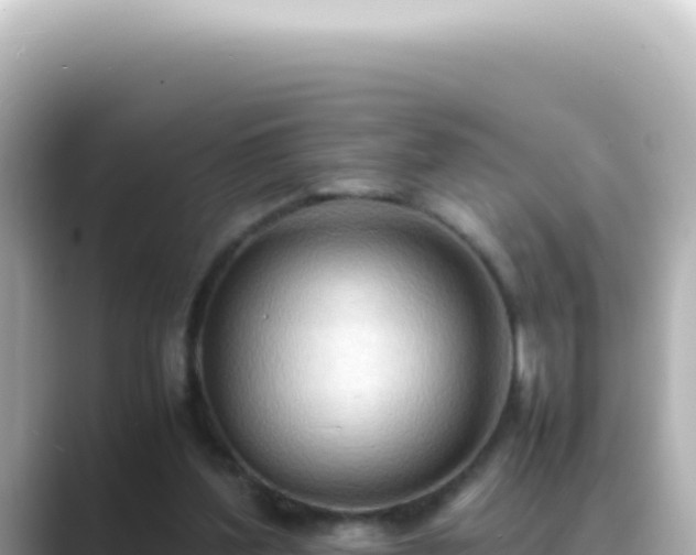 X0000089460204200706221311