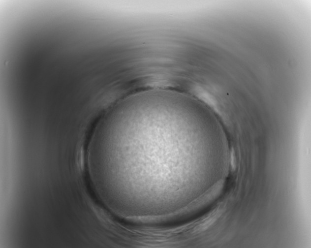 X0000089460205200706221311