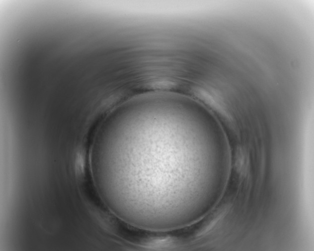 X0000089460206200706221311