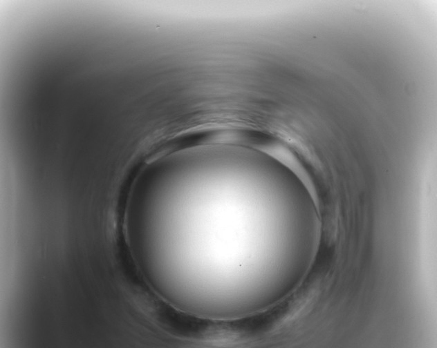 X0000089460207200706221311