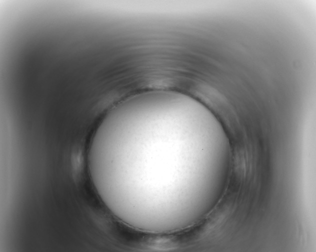 X0000089460208200706221311
