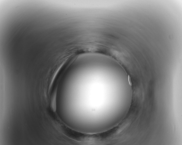 X0000089460209200706221311