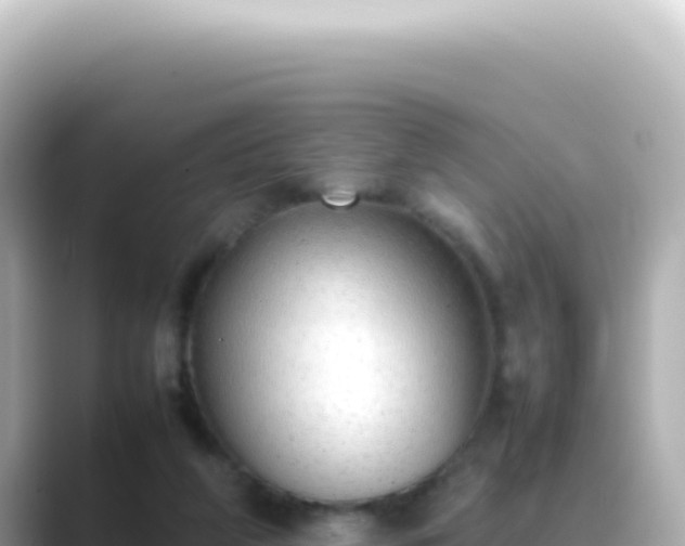 X0000089460210200706221311