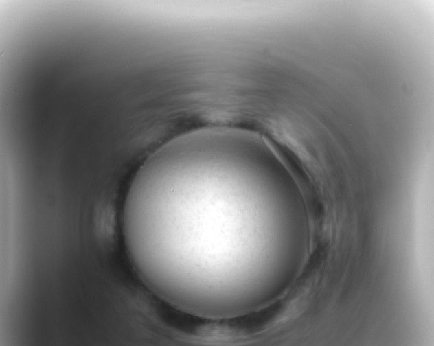 X0000089460211200706221311