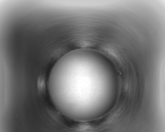 X0000089460214200706221311