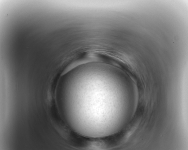 X0000089460215200706221311