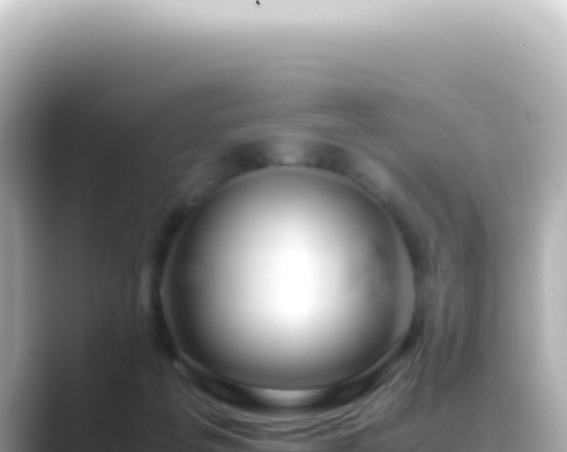 X0000089460217200706221311