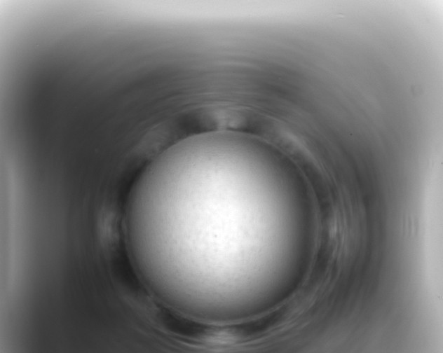 X0000089460218200706221311