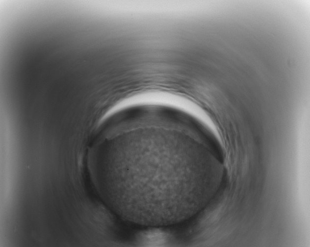 X0000089460219200706221311