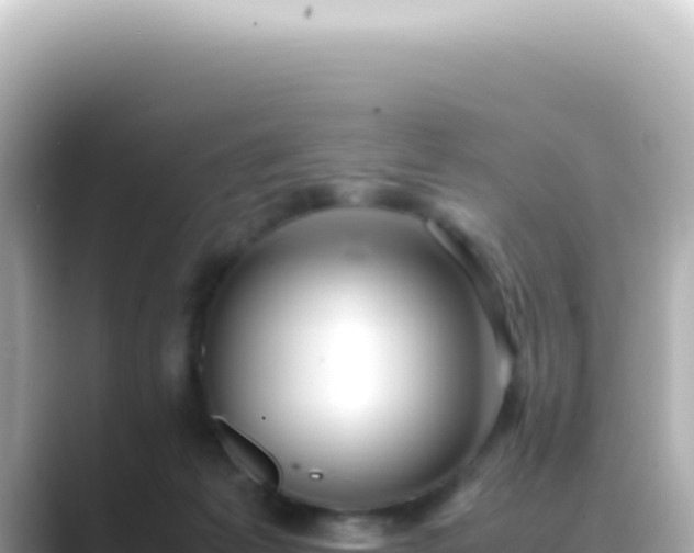 X0000089460221200706221311