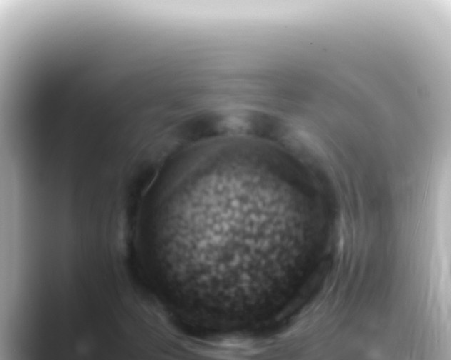 X0000089460223200706221311