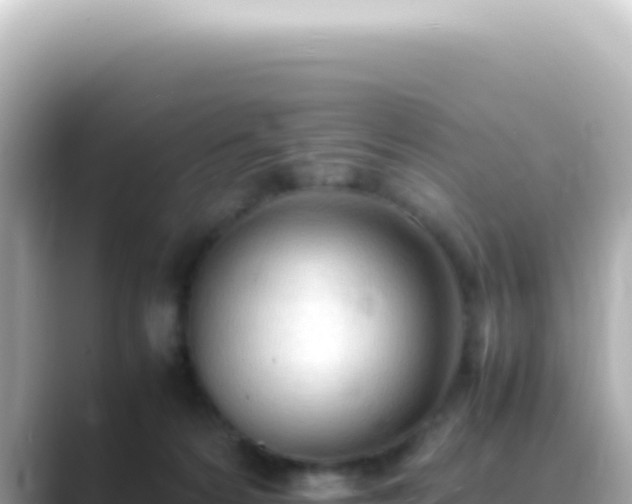 X0000089460224200706221311