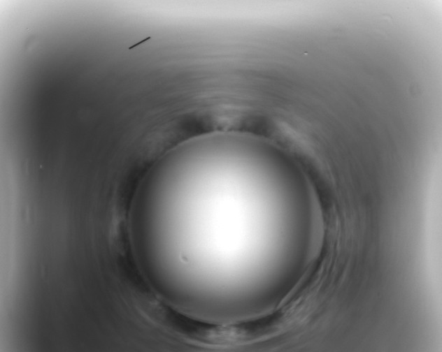 X0000089460225200706221311