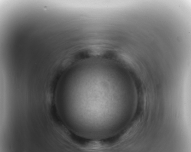 X0000089460227200706221311