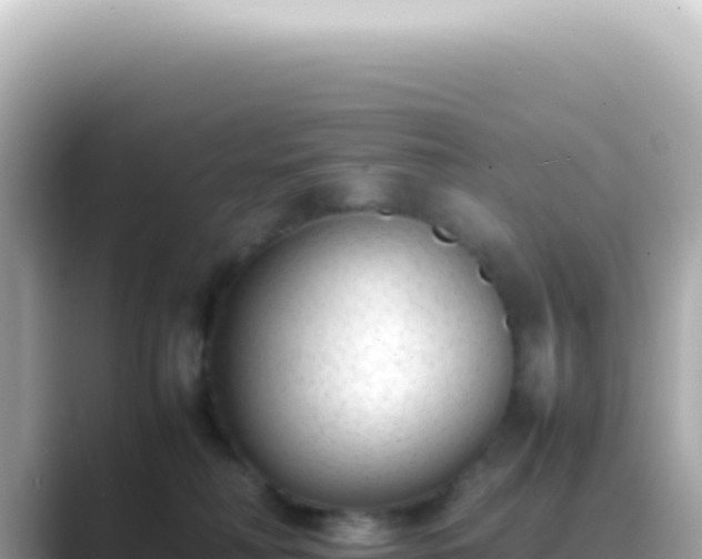 X0000089460230200706221311