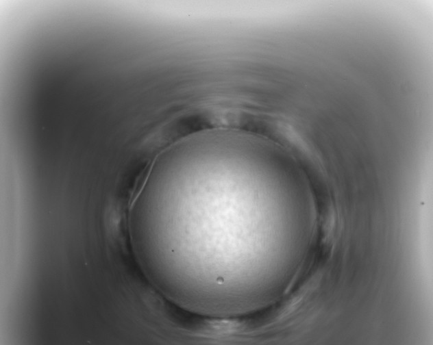 X0000089460233200706221311