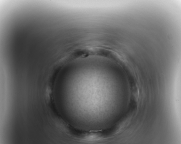 X0000089460235200706221311