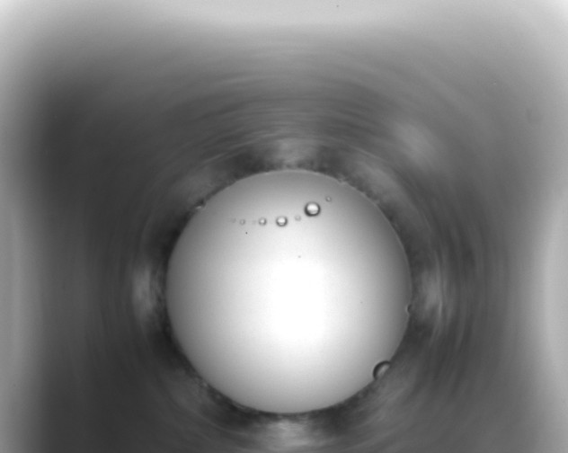 X0000089460236200706221311