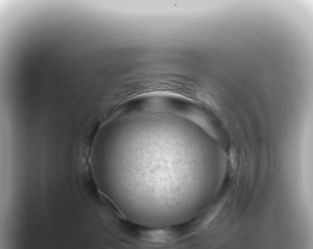 X0000089460237200706221311