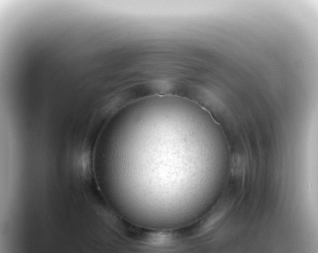 X0000089460238200706221311